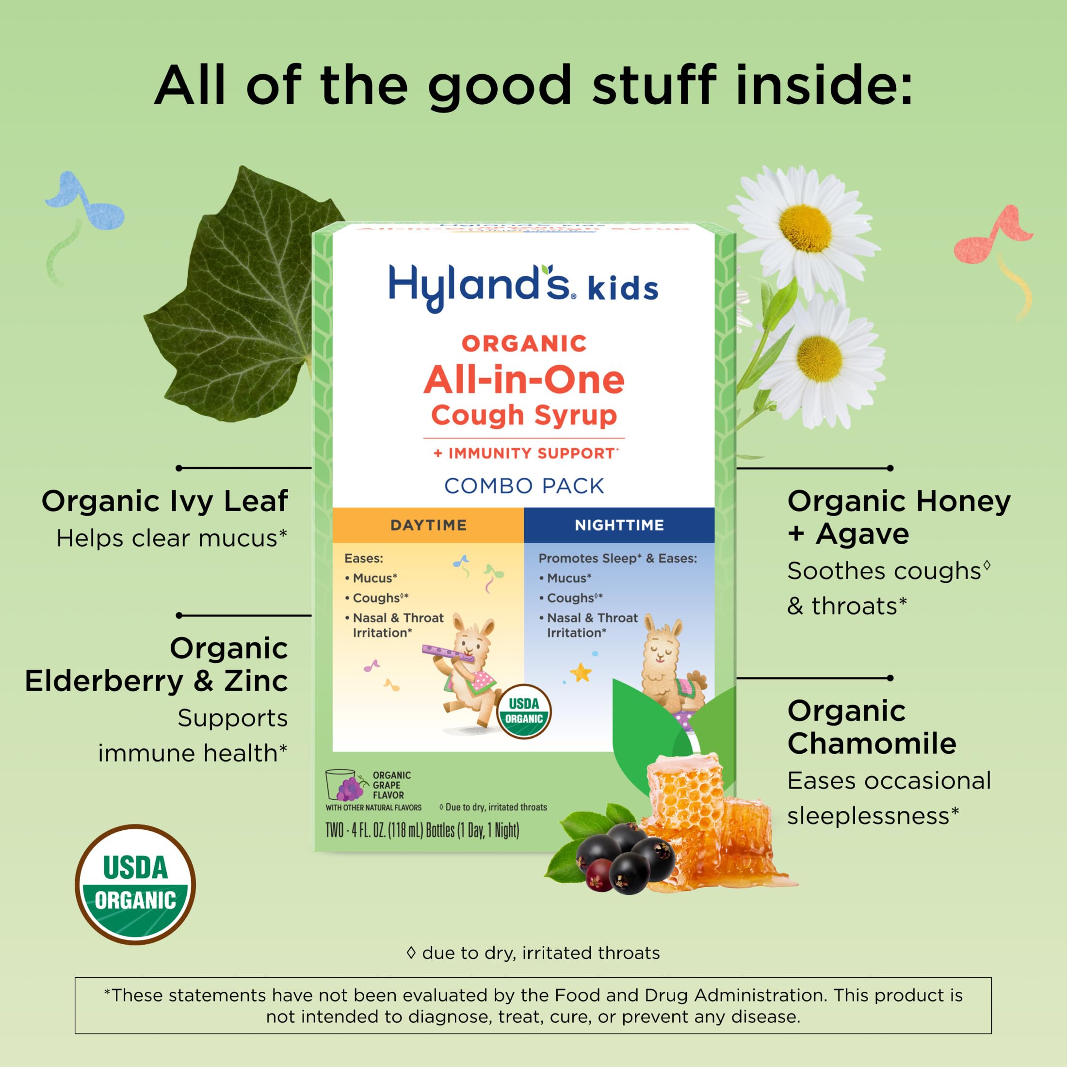 Hyland's Kids Organic All-in-One Grape Cough Syrup Day & Night, Two 4 Ounce Bottles - Image 4