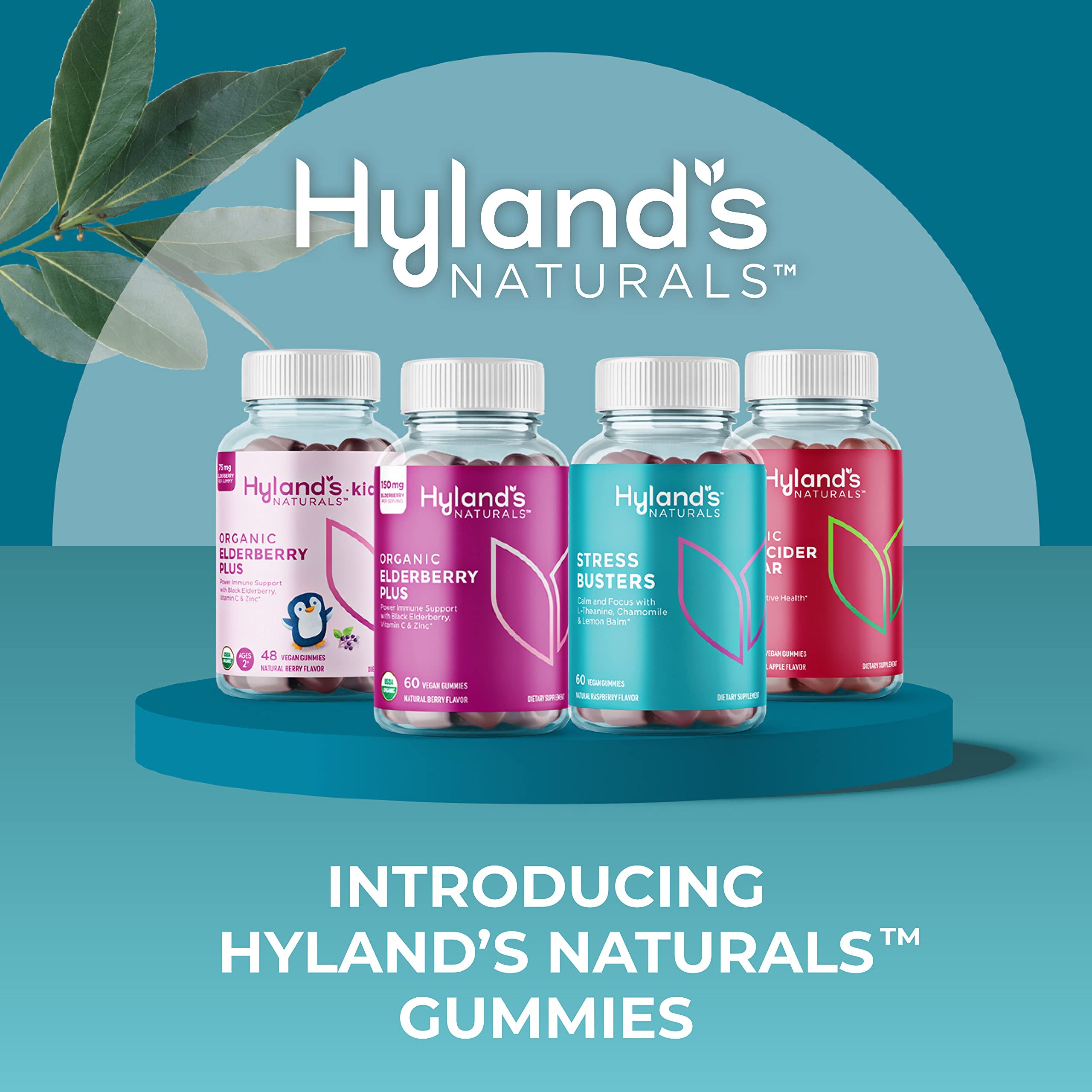 Hyland's Kids Organic Elderberry Plus Gummies, Organic Black Elderberry with ZINC and Vitamin C, Immune Support for Children, 48 Vegan Gummies - Image 4
